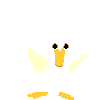 white_duck.gif