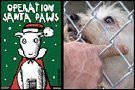 santapaws.jpg