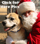 santawithdog.gif